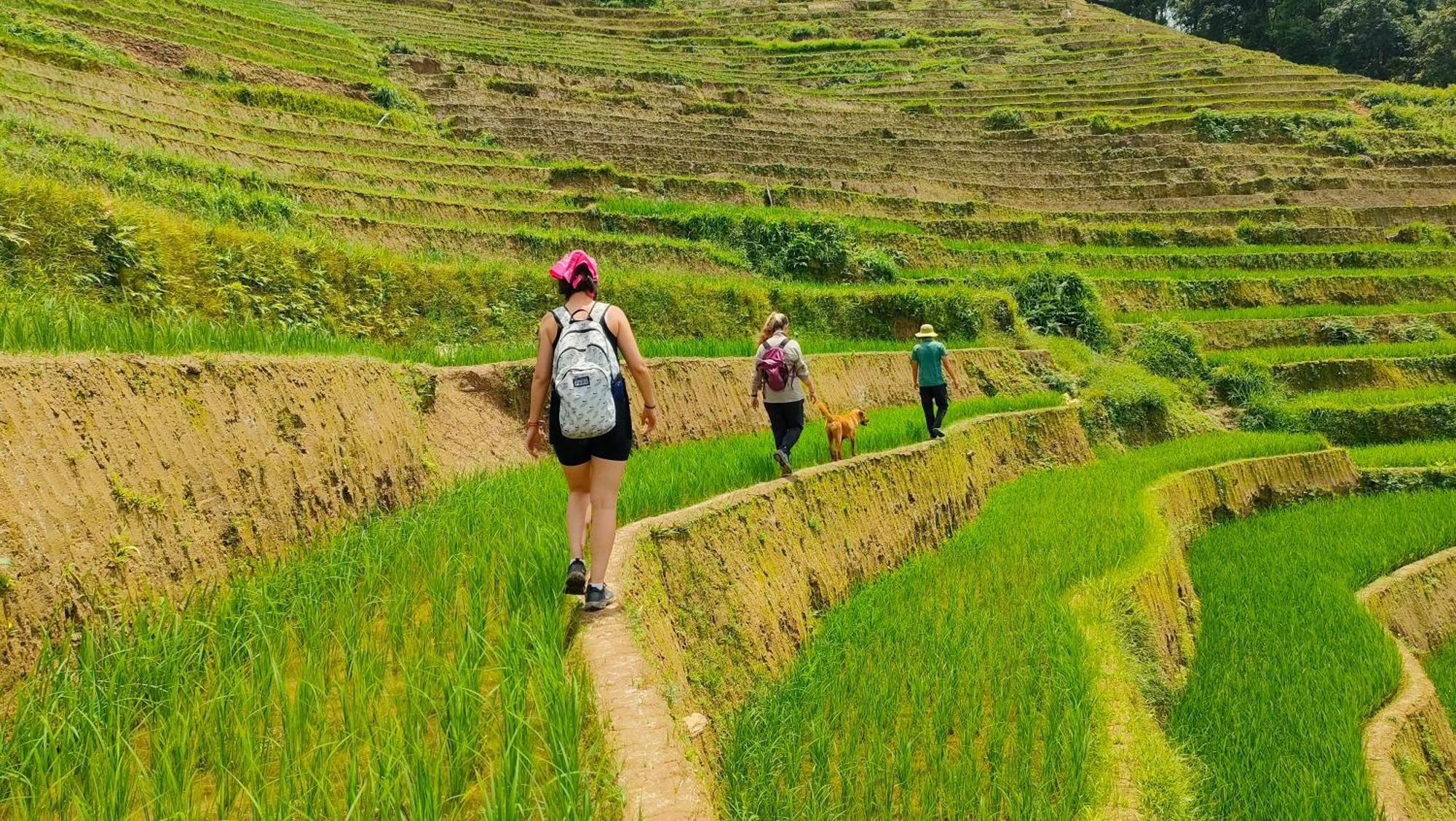 Indigenous Homestay- Trek- Food- Bus Mu Cang Chai Exterior foto